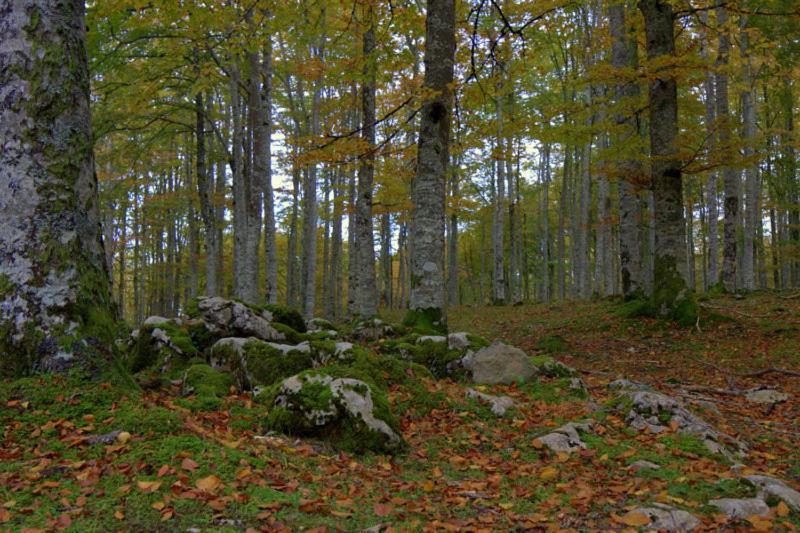 Hostal Rural Elosta Lekunberri Buitenkant foto