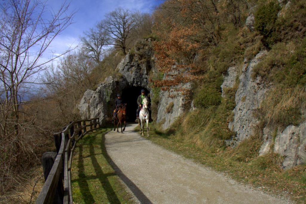 Hostal Rural Elosta Lekunberri Buitenkant foto